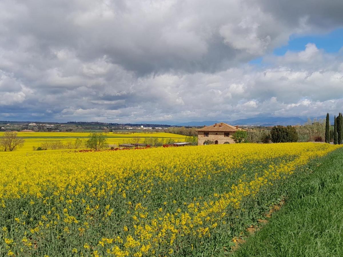 Podere Molinaccio Panicale Luaran gambar