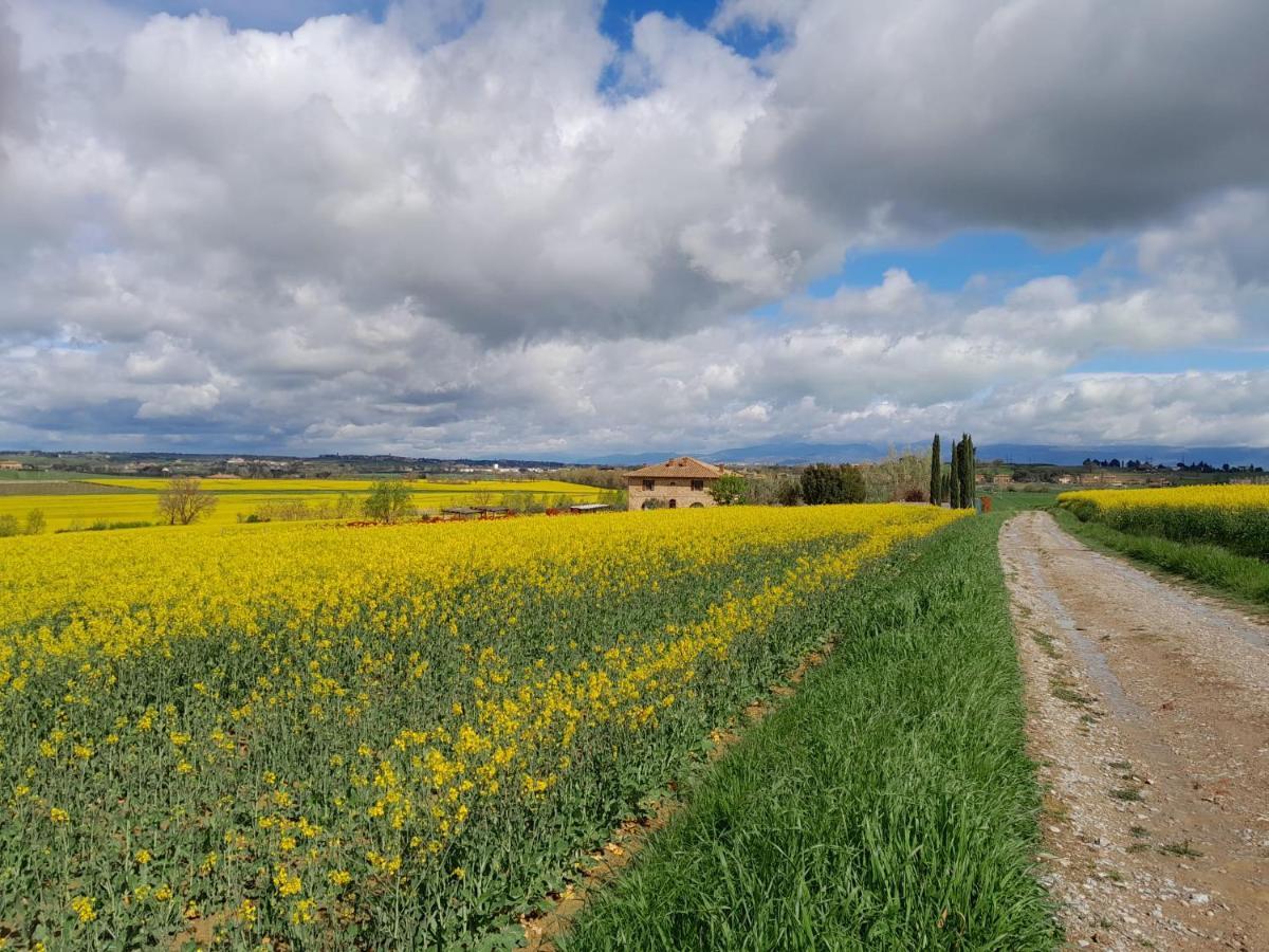 Podere Molinaccio Panicale Luaran gambar