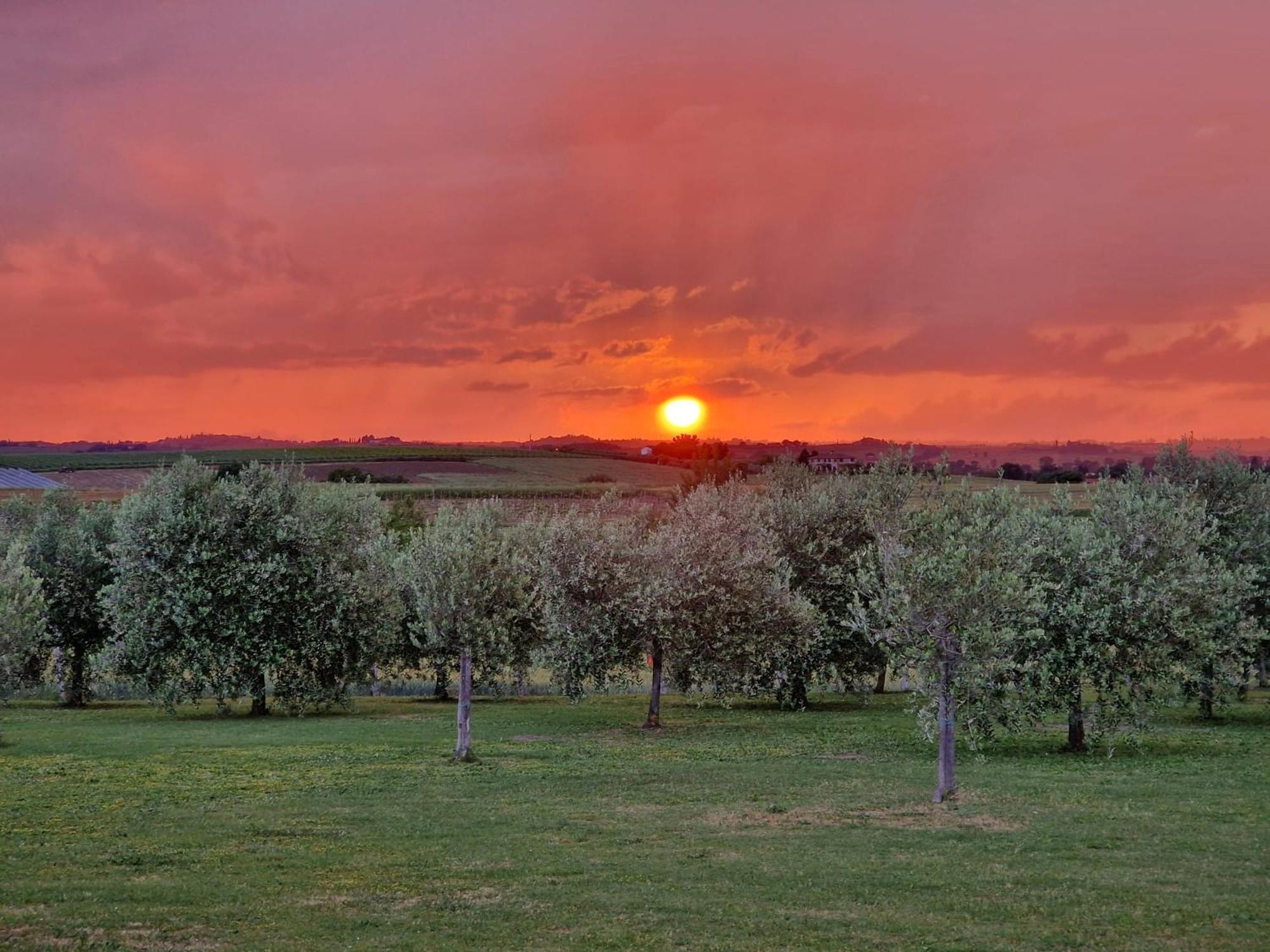Podere Molinaccio Panicale Luaran gambar