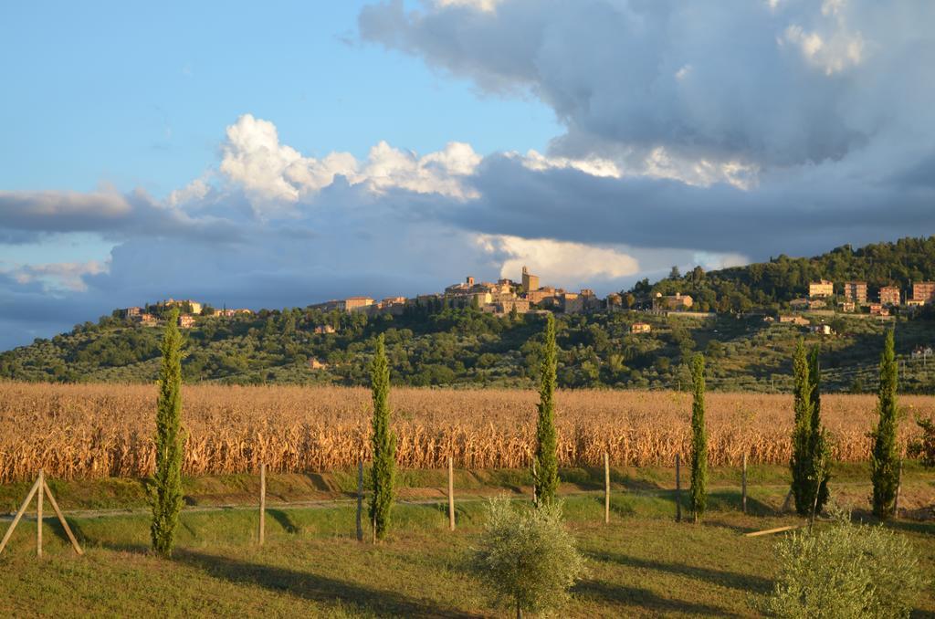 Podere Molinaccio Panicale Bilik gambar